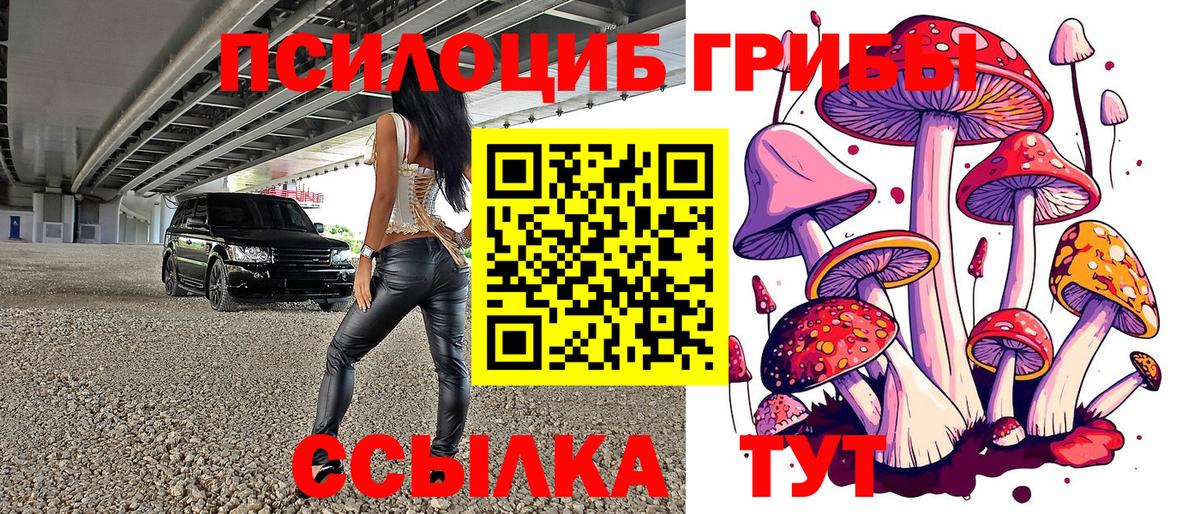 Галлюциногенные грибы Psilocybine cubensis  Псилоцибиновые грибы ЛСД  Вход с VPN  Нижнеудинск 